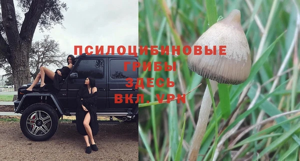 mix Новозыбков