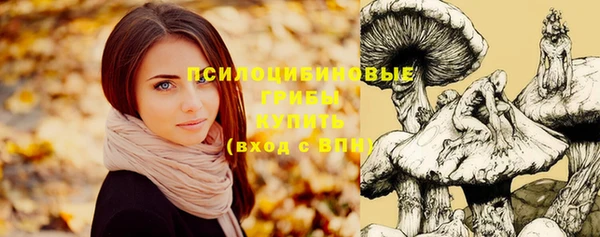 герыч Няндома