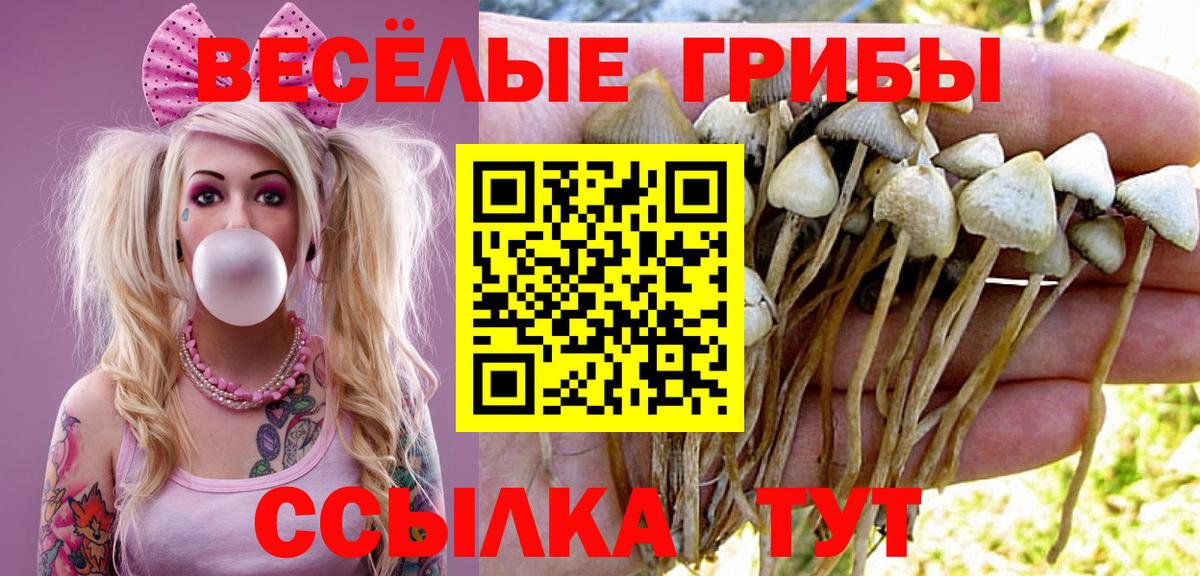 Знаменск  Галлюциногенные грибы мицелий  Вход с VPN 